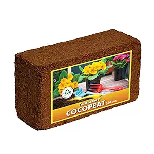 TrustBasket Cocopeat 650 GMS Block - Expands Upto 3 litres of Powder | Hydroponic Plants, Kitchen Gardening and Terrace Gardening for Indoor Plants and Outdoor Plants