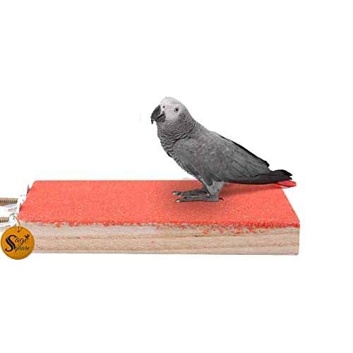 Sage Square Premium Wood Sand Cage Platform - Engage Your Bird's Instincts with an Interactive Perch, Elevate Your Bird's Habitat, Provide Endless Entertainment Playful Natural Wood Sand Cage Platform