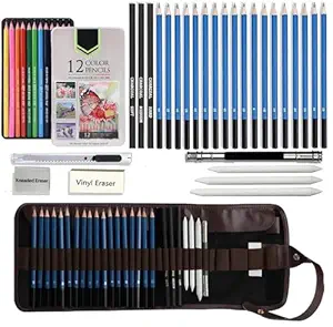 Corslet Set of 41 Art Supplies, Includes 12 Pcs Oil Colour Pencils and 29 Pcs Drawing Pencil Set with Graphite Charcoal Pencils and Tools