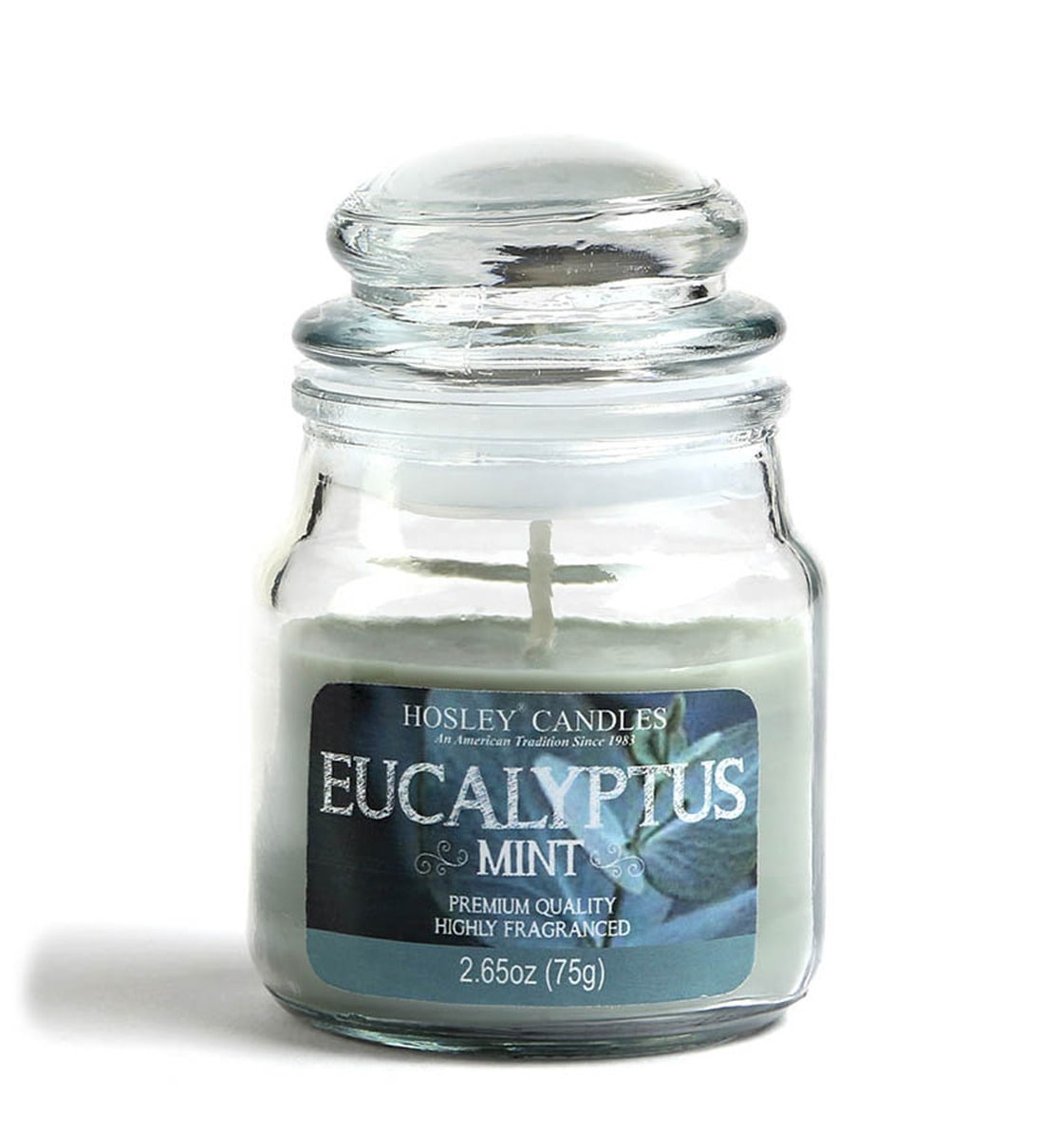 Eucalyptus Mint Aroma Scented Candle,Share By Hosley