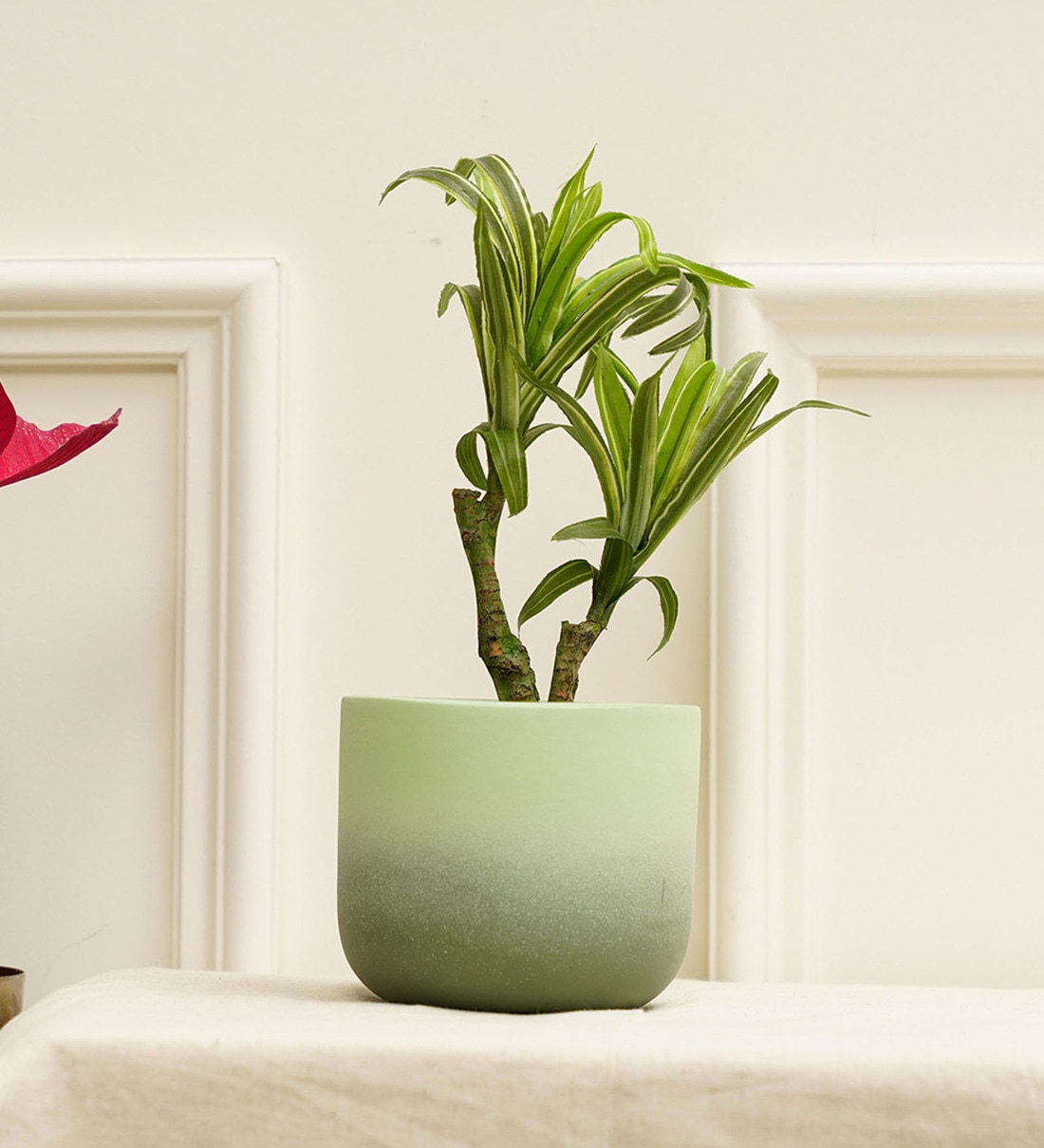 Smoky Green Terracotta Desk Pot,Share By Purezento