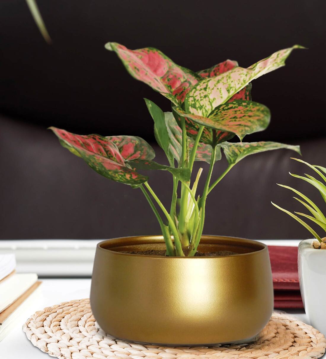 Gold Metal Zoe Desk Planter,Share By Ecofynd