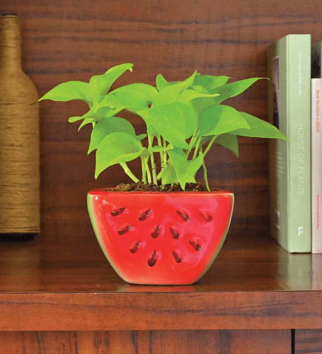 Red Ceramic Watermelon Shape Desk Pot Planter,Share By Ugaoo