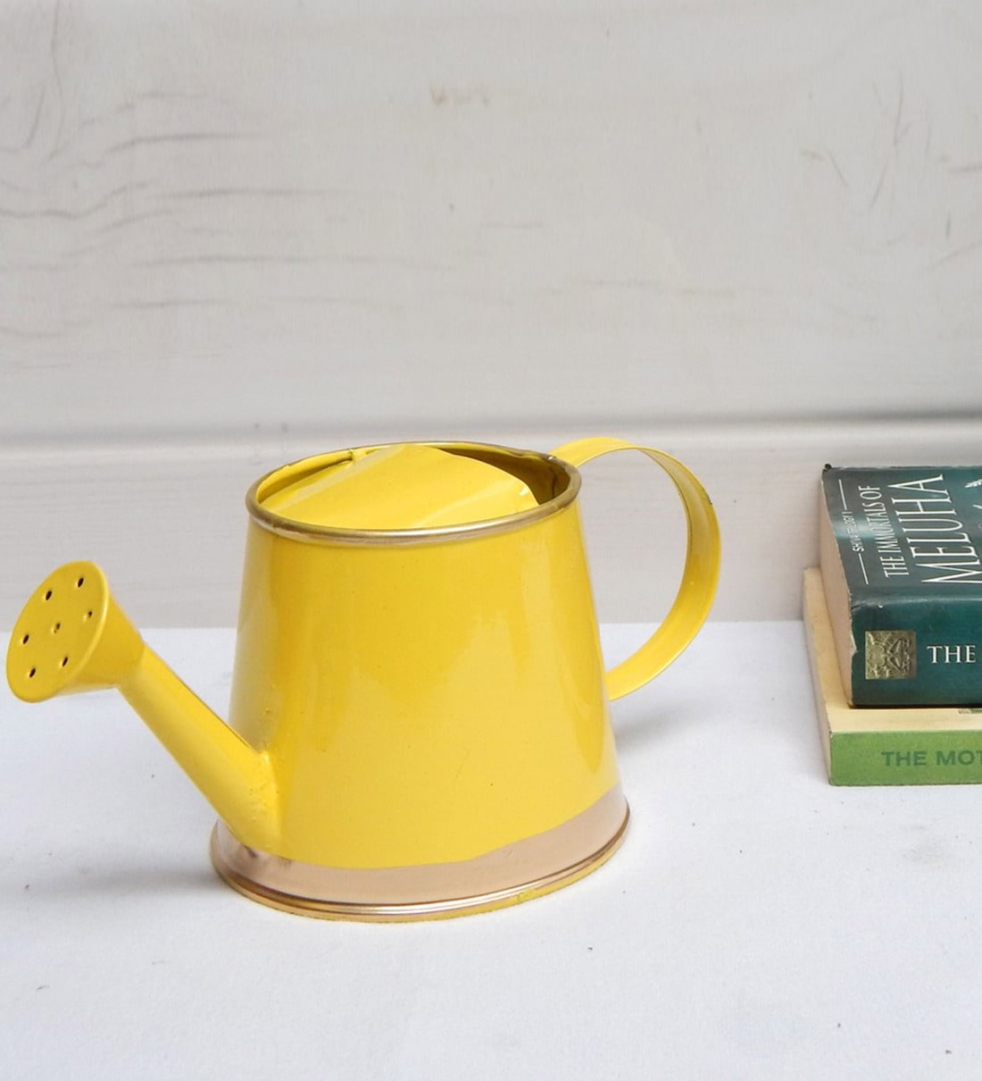 Metal Yellow 250 ML Watering  Can,Share By Ecofynd