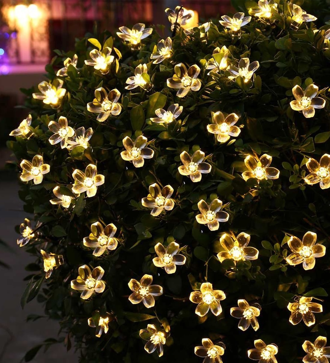 Flemish White and Yellow 3 Meter LED String Light,Share By The Purple Tree