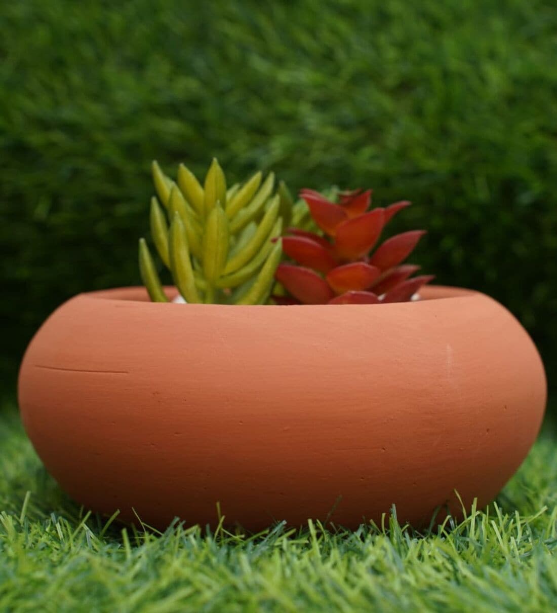 Terracotta Ellipse Planter,Share By Gold Dust