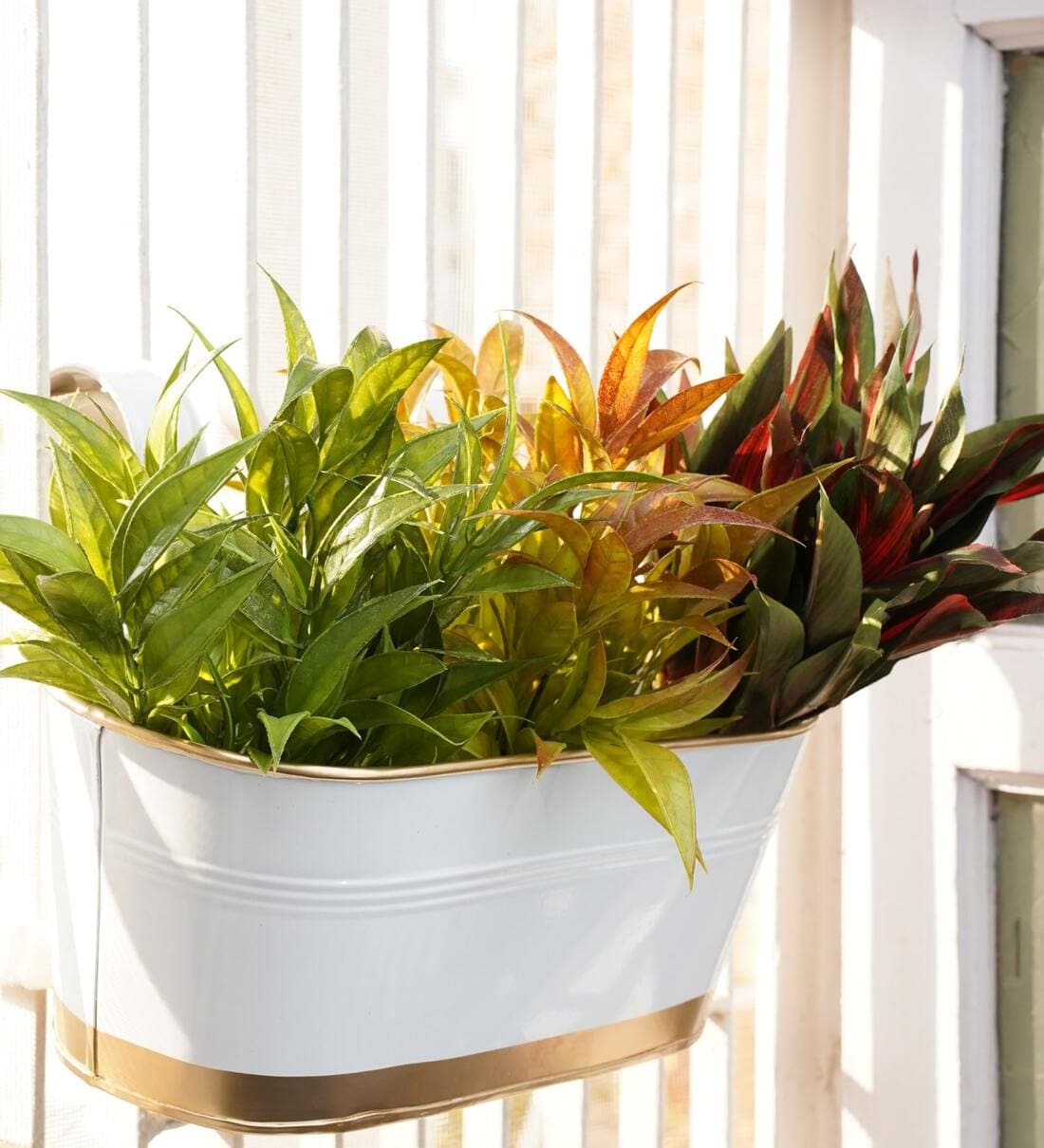 White And Golden Metal Railing Planter,Share By Gold Dust